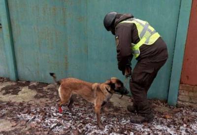 Служебный пес спас нацгвардейца от смерти