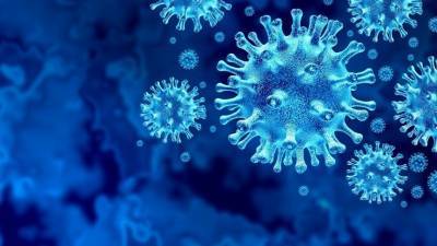В ВОЗ насчитали 13 штаммов коронавируса в Ухане