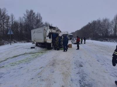 В аварии с двумя грузовиками на трассе М-5 в Шиловском районе погиб человек