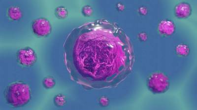Ученые создали математическую модель возникновения раковых клеток