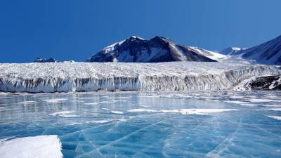 Британских ученых поразили обнаруженные необычные существа под ледниками Антарктиды