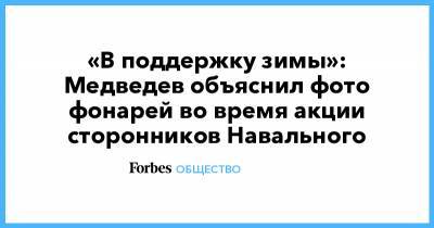 «В поддержку зимы»: Медведев объяснил фото фонарей во время акции сторонников Навального