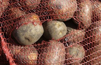Непогода поднимает цены на картофель в Украине