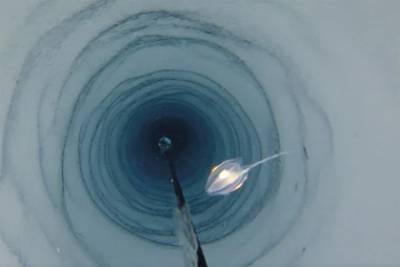 Подо льдом Антарктиды нашли загадочные живые организмы