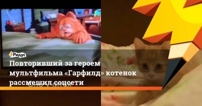 Повторивший загероем мультфильма «Гарфилд» котенок рассмешил соцсети