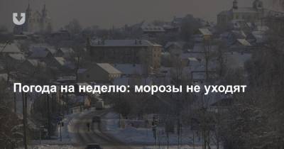 Погода на неделю: морозы не уходят - news.tut.by - Белоруссия