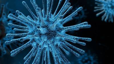 Ученые из США нашли предел мутациям коронавируса