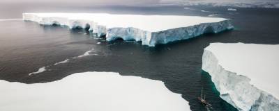 В Антарктиде подо льдом нашли странных существ