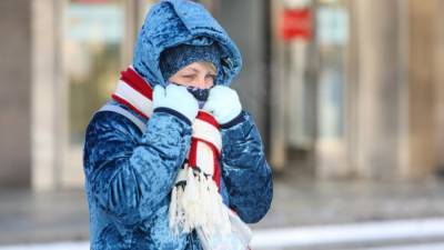 Жителей Москвы предупредили о приближении самых сильных за зиму морозов