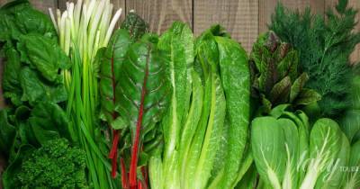 Переходят на здоровое питание: украинцы стали чаще покупать зелень и микрозелень