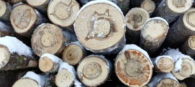 Житель Карелии нарубил дров и стал фигурантом уголовного дела