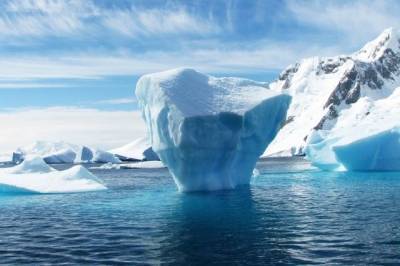 Во льдах Антарктиды обнаружили неизвестный науке вид животных