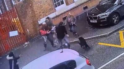 Опубликовано видео нападения сторожевого пса на маленьких детей в Англии