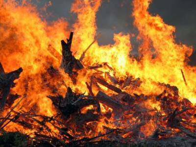 В Киеве произошел масштабный пожар в одном из парков