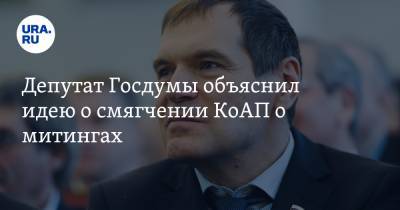 Депутат Госдумы объяснил идею о смягчении КоАП о митингах