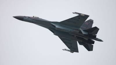 Российский Су-35 мог выключить американский Super Hornet в небе Сирии