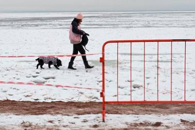В Петербурге нашли вмерзшего в лед Финского залива босого человека