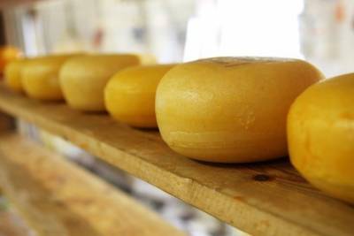 Украина в прошлом месяце на четверть нарастила экспорт сыров