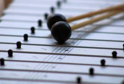 Ударные музыкальные: детские школы искусств семи районов Ленобласти получат новые музыкальные инструменты