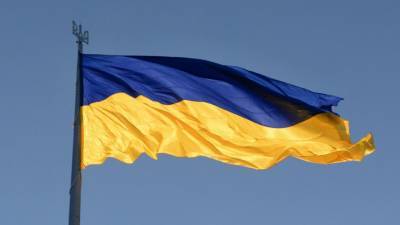 Украинские националисты устраивают скандалы, разочаровавшись в Евромайдане