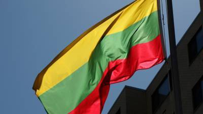 Литва больше не будет импортировать электроэнергию с БелАЭС