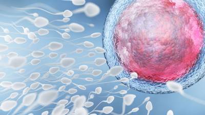 Ученые выяснили, как на качество спермы влияют возраст и токсичные вещества