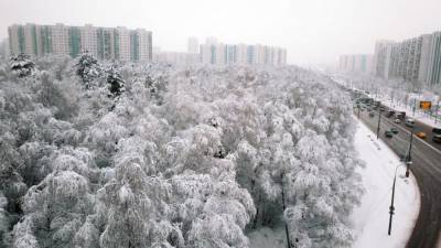 Строительные леса обрушились в центре Москвы из-за выпавшего снега