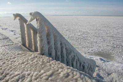 Сказочный Бердянск: В сети показали красоту зимнего явления у моря