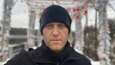Бундестаг рассказал об охране Навального в Германии