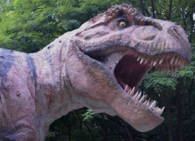 Американские ученые выяснили причину вымирания динозавров