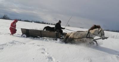 Жительницу Полесья везли в больницу на конной повозке: скорая и ГСЧС застряли в снегу
