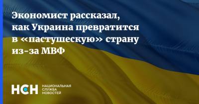 Экономист рассказал, как Украина превратится в «пастушескую» страну из-за МВФ