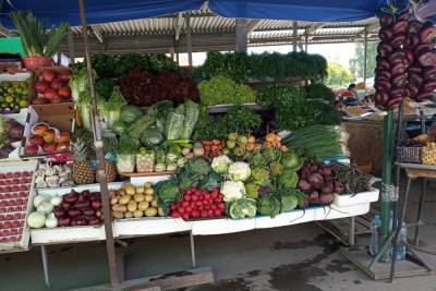 Жители Тулы просят вернуть сельскохозяйственный рынок на Седова