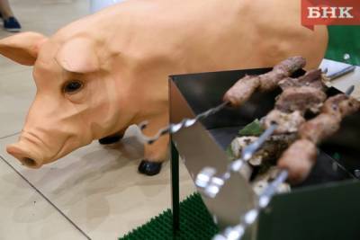 Под Сыктывкаром выявили очаг африканской чумы свиней