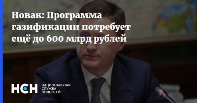 Новак: Программа газификации потребует ещё до 600 млрд рублей