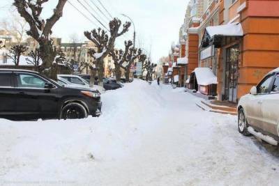 Вице-мэр Рязани поручил очистить платные парковки от снега