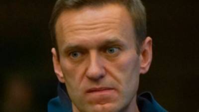 Спецслужбы ФРГ охраняли Навального на территории Германии