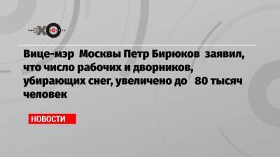 Вице-мэр Москвы Петр Бирюков заявил, что число рабочих и дворников, убирающих снег, увеличено до 80 тысяч человек
