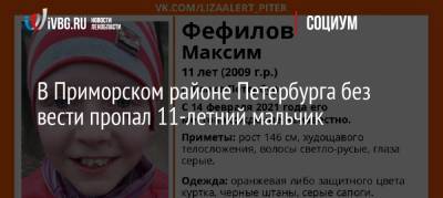 В Приморском районе Петербурга без вести пропал 11-летний мальчик