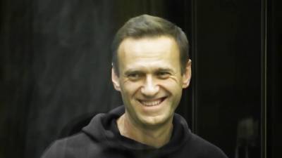 Правительство Германии рассказало, как охраняли Навального