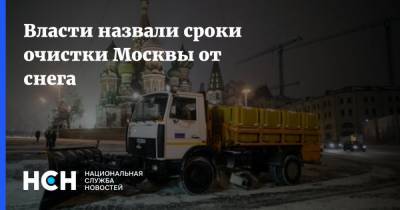 Власти назвали сроки очистки Москвы от снега