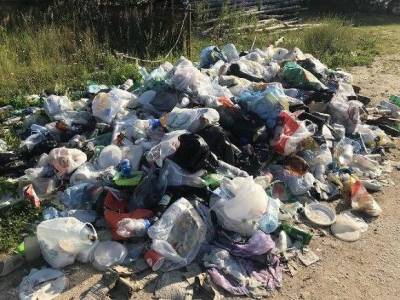 Из Махачкалы перестали вывозить отходы, и город завалило мусором