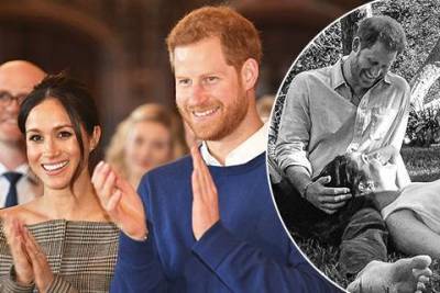 Фотограф Меган Маркл и принца Гарри раскрыл смысл их снимка для объявления о скором пополнении в семье