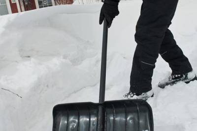 В Ярославской области чиновница посоветовала жителям взять в руки лопаты