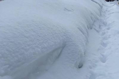 Более 1,5 тысяч км путей очищено от снега на тульской железной дороге с 12 по 14 февраля