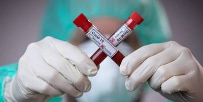 В США объяснили, почему происходит снижение числа новых случаев инфицирования коронавирусом - ТЕЛЕГРАФ