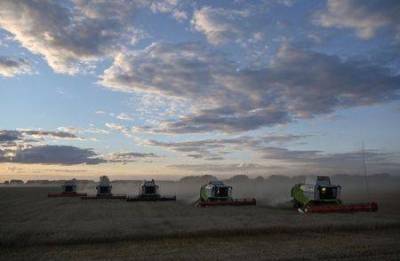 Экспортные цены на пшеницу РФ продолжили снижение на прошлой неделе