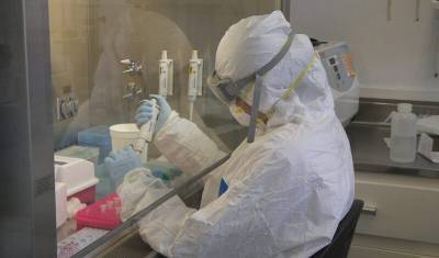 Российские ученые предложили использовать вместо антибиотиков арктические вирусы