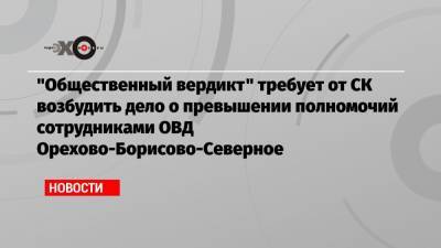 «Общественный вердикт» требует от СК возбудить дело о превышении полномочий сотрудниками ОВД Орехово-Борисово-Северное