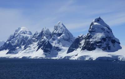Подо льдами Антарктиды нашли удивительные организмы